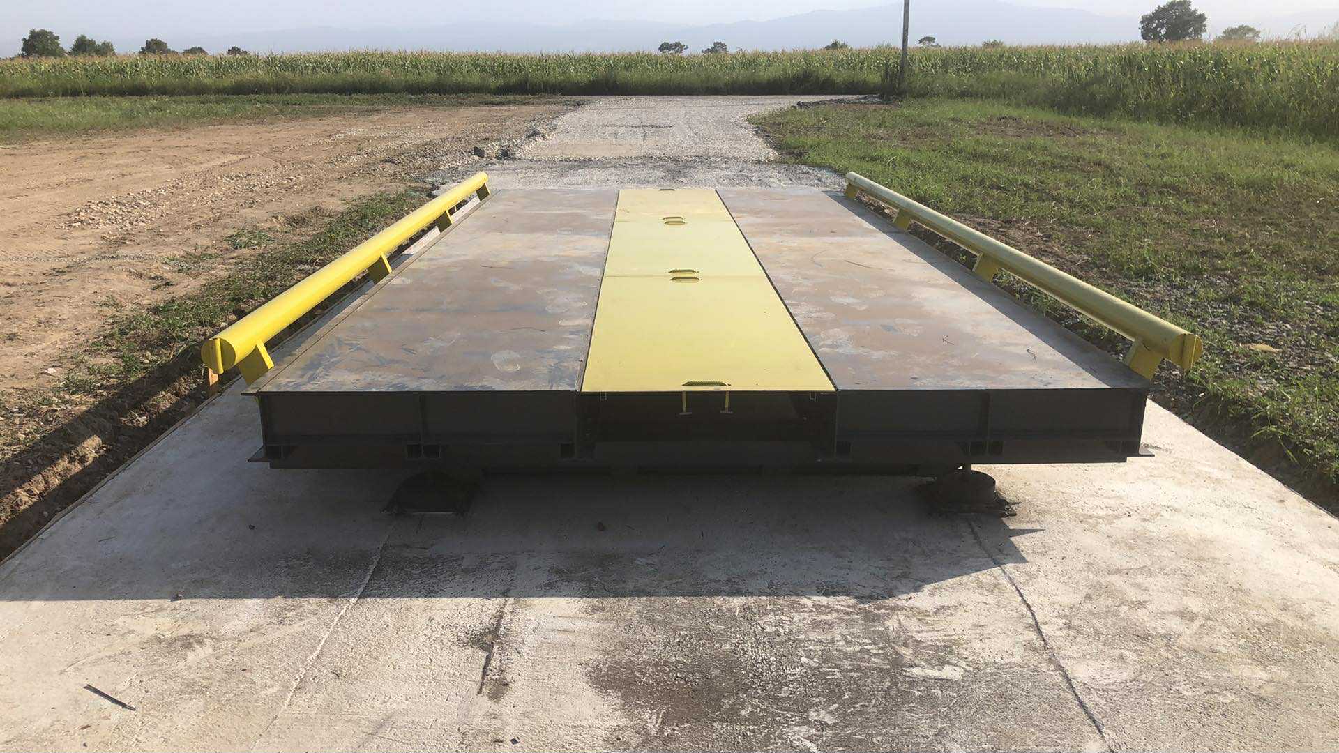 DVALI Farmer truck scale family view 20 ton series image 2